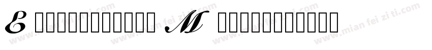 Emmasletters Medium字体转换